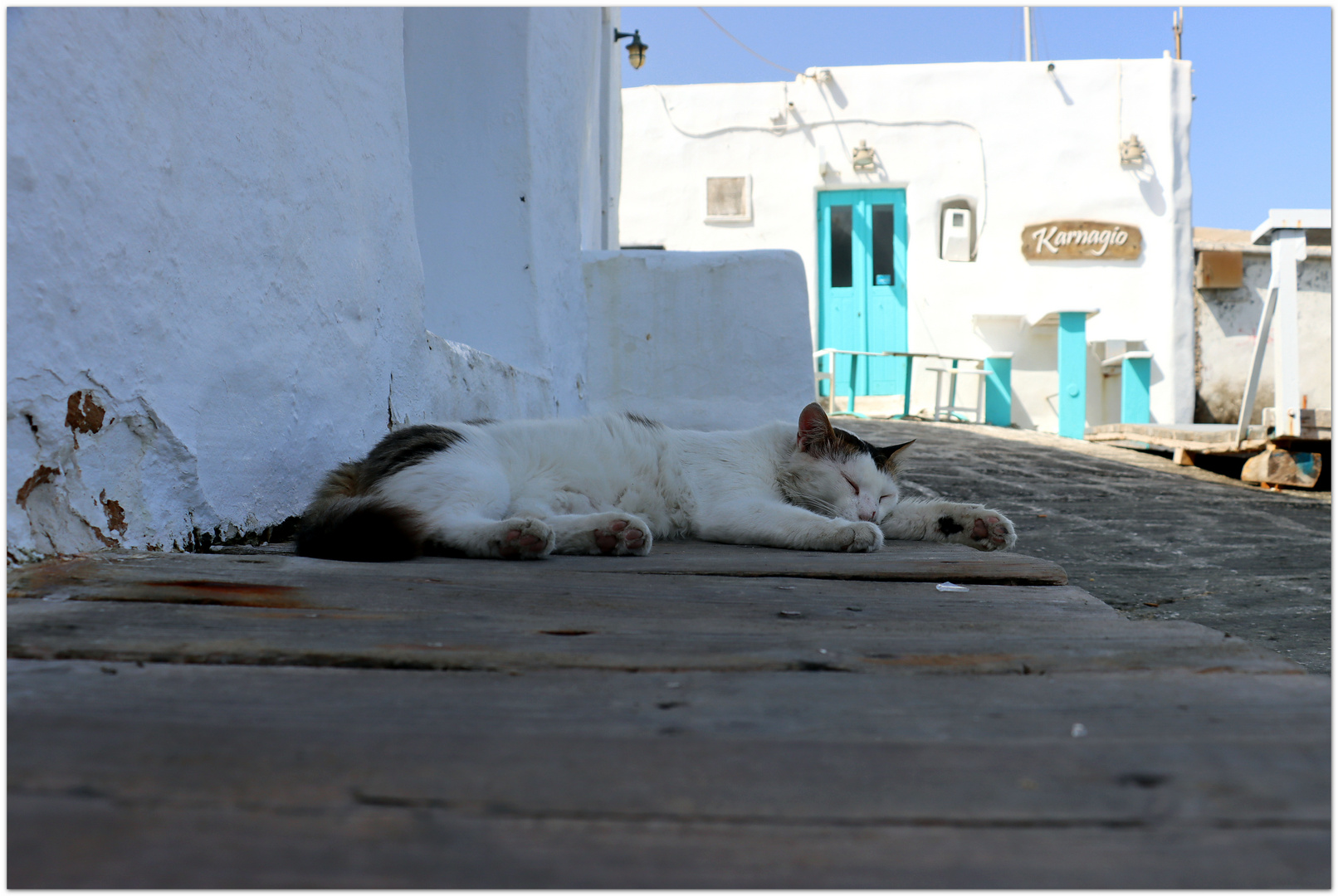 cats of greece