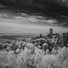 Cattedrale di San Rufino