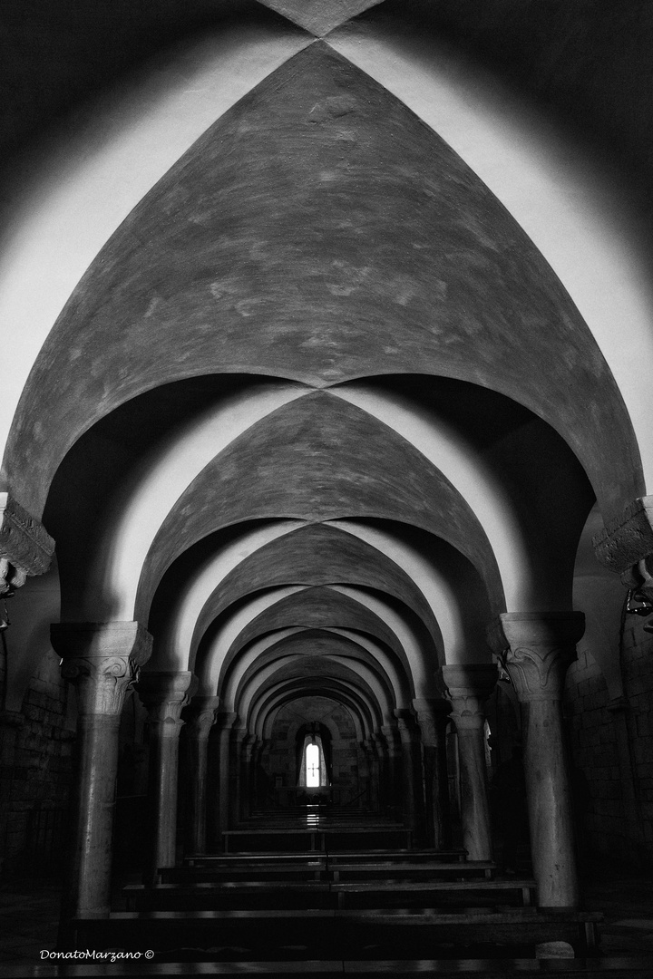 Cattedrale di Trani