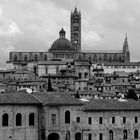 Cattedrale Metropolitana di Santa Maria Assunta