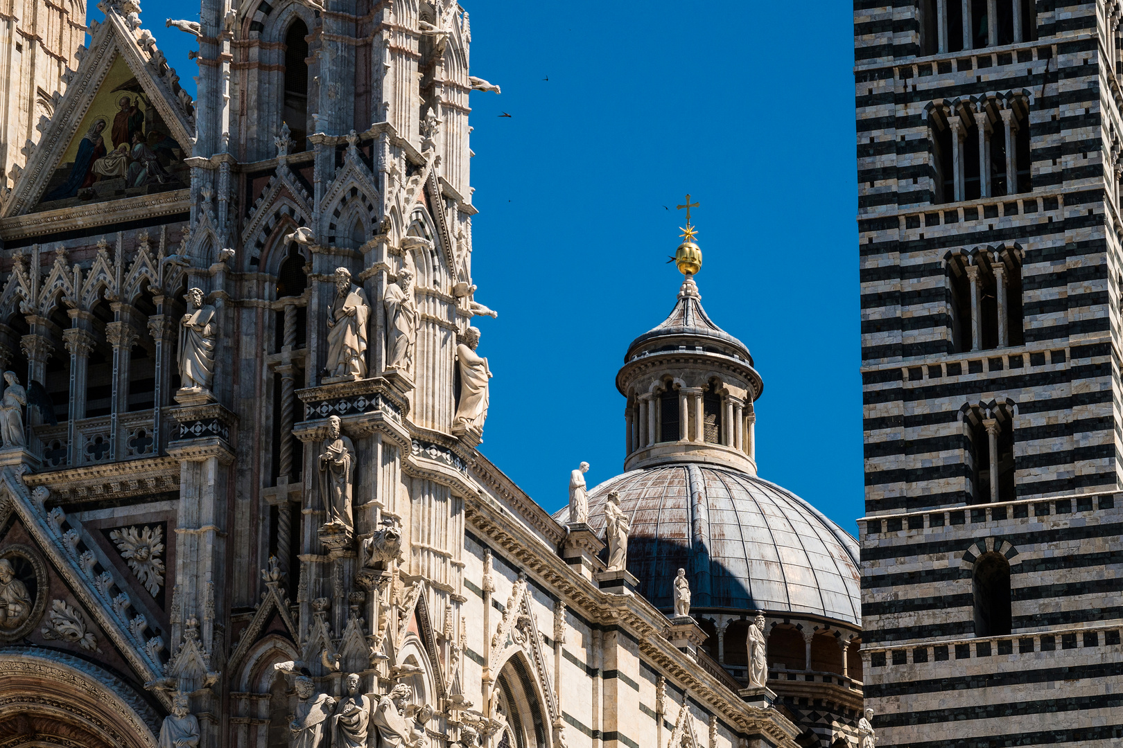 Cattedrale Metropolitana di Santa Maria Assunta Foto & Bild toskana