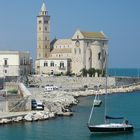 Cattedrale San Nicola Pellegrino von Trani (Apulien)