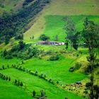 Cattle farm in the Andes