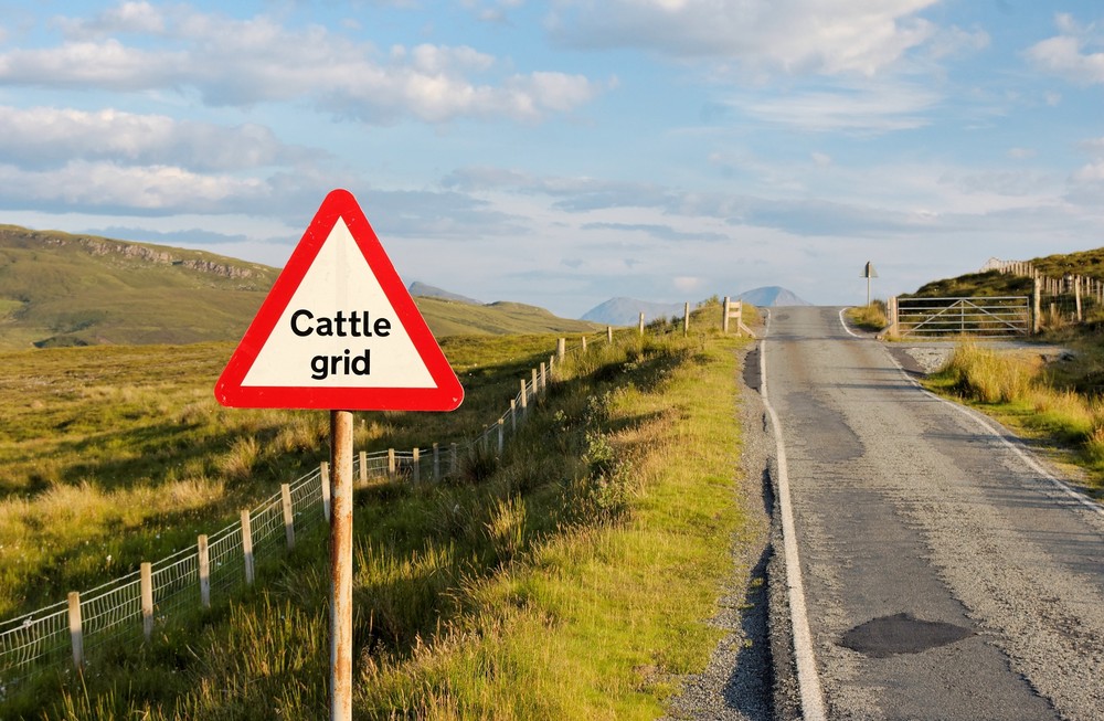 Cattle grid