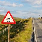 Cattle grid