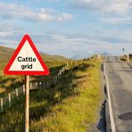 Cattle grid