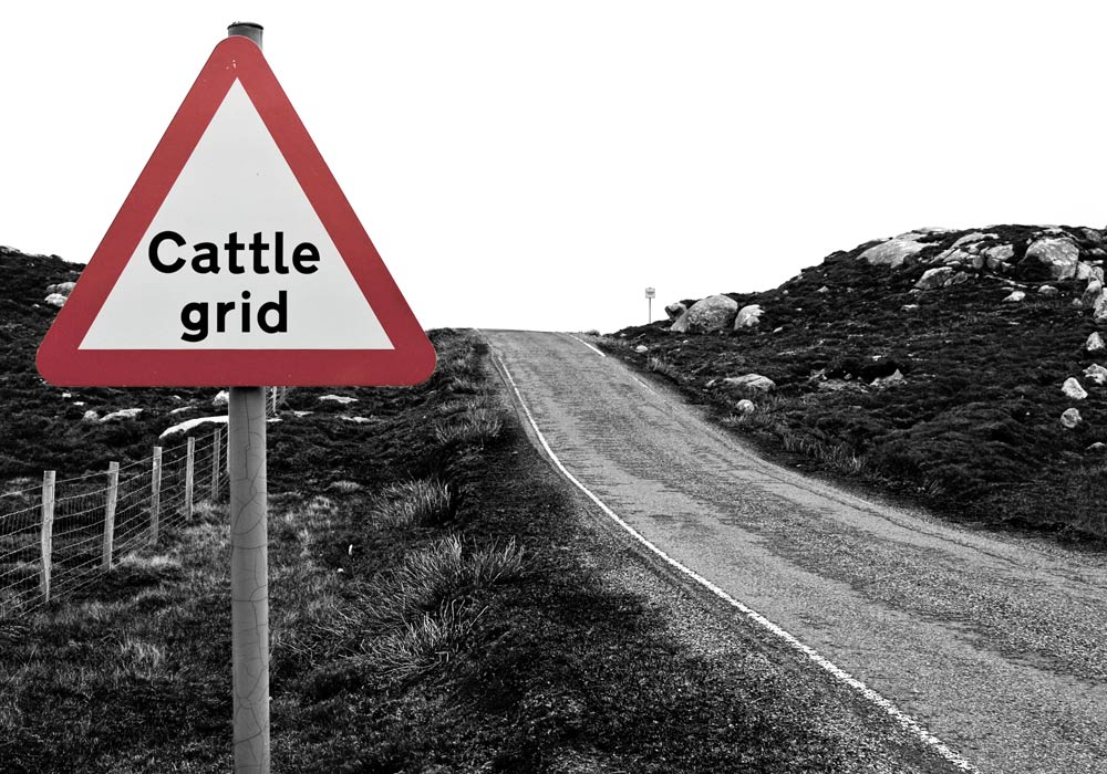 Cattle Grid