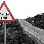 Cattle Grid