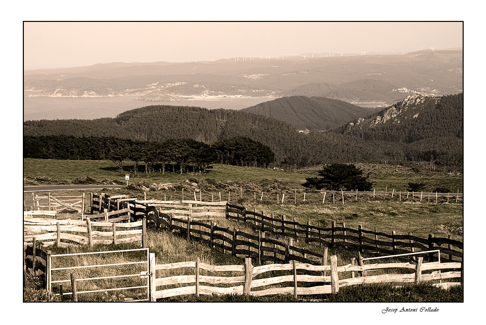 Cattle's enclosures