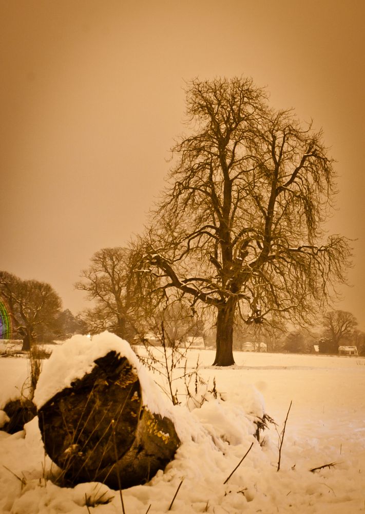 Catton Park