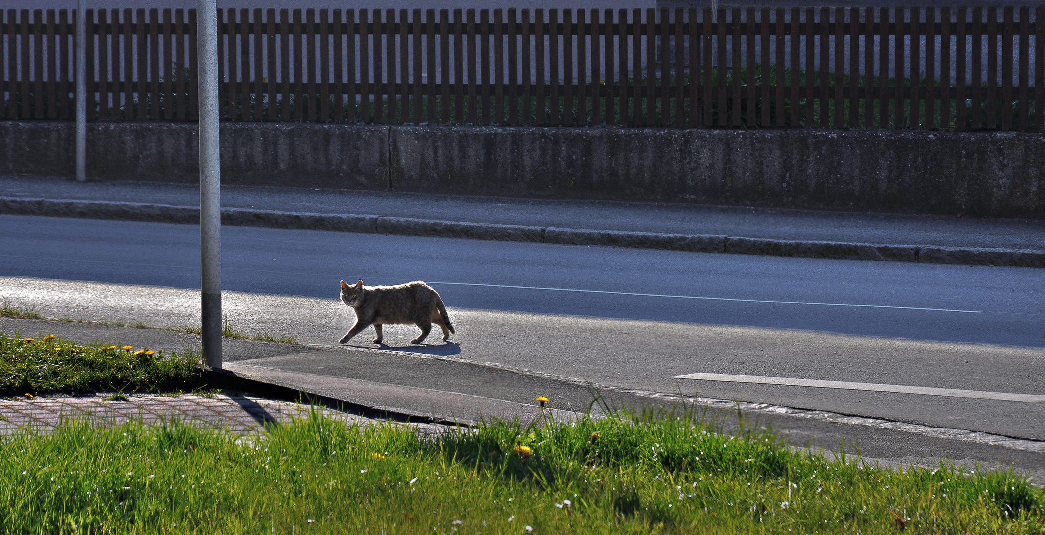  Catwalk......