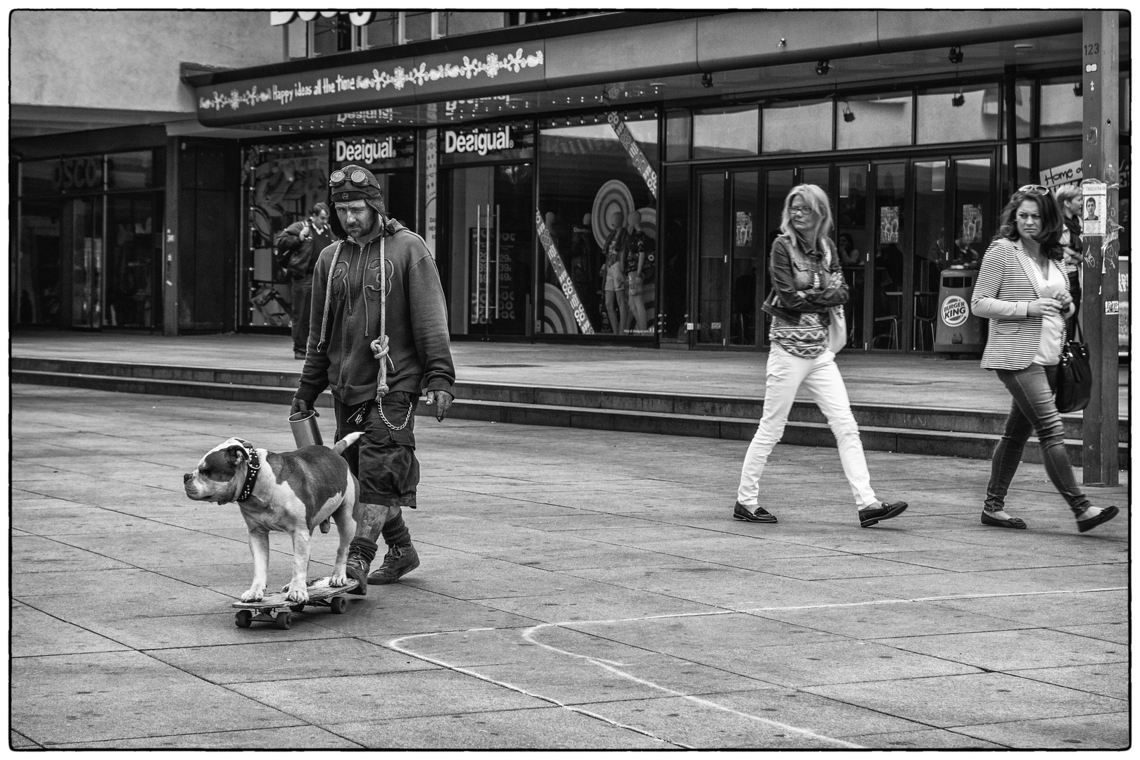 cat.walk