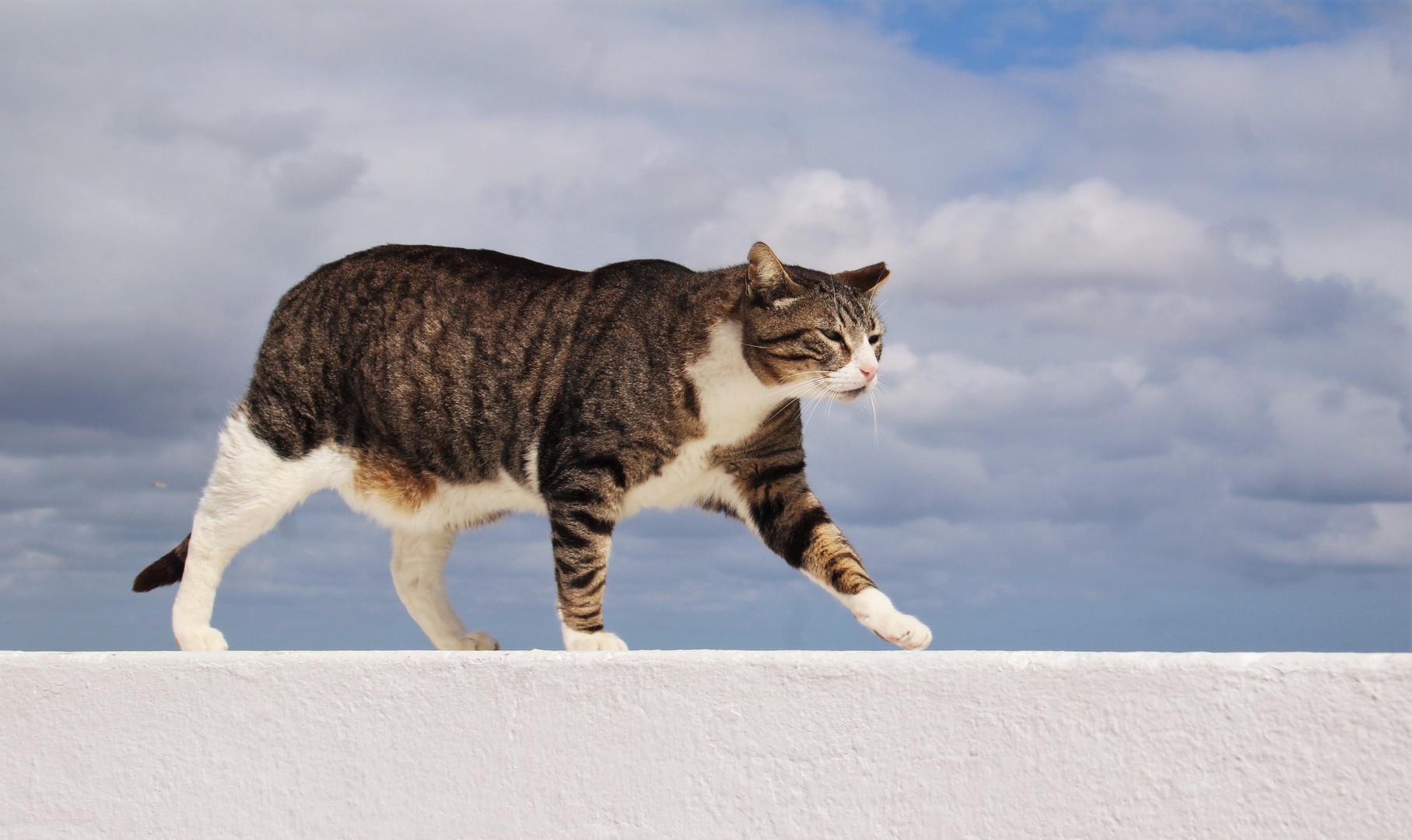 Catwalk am Ende der Welt 