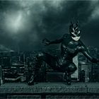 Catwoman