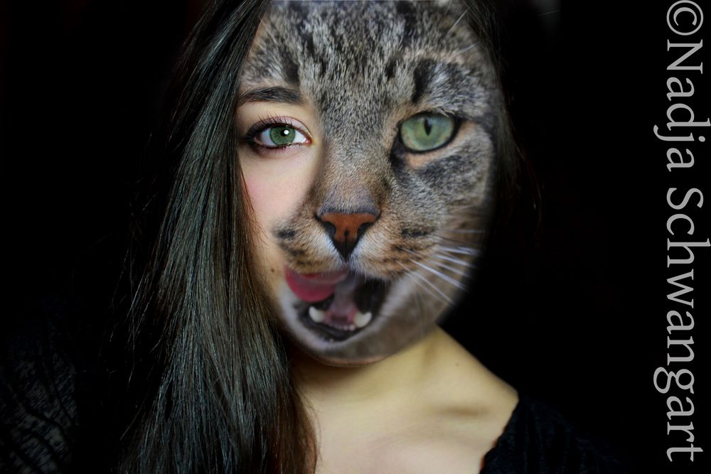 Catwoman ;) Foto & Bild | fotomontage, multiple persönlichkeit, katze Bilder auf fotocommunity