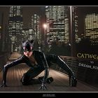 ~ Catwoman vs Dream_for_us ~