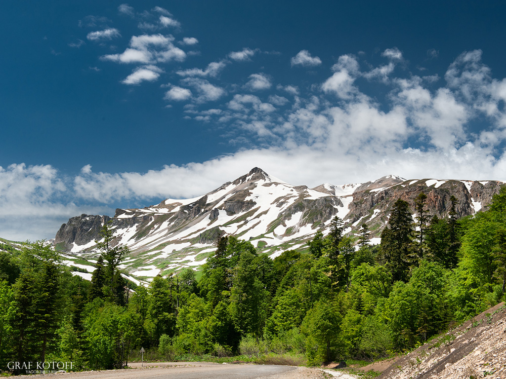 Caucasus