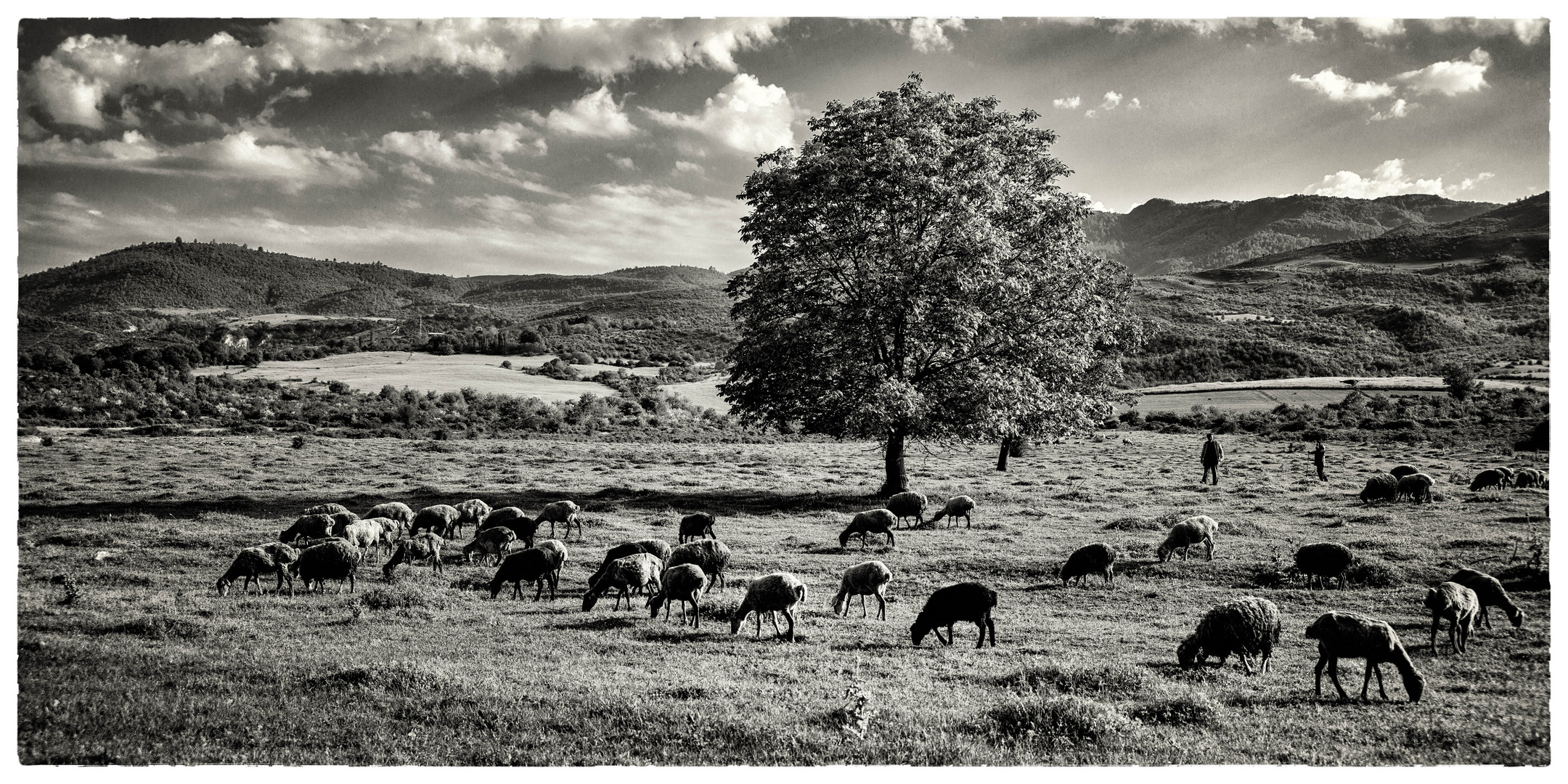 CAUCASUS: early morning