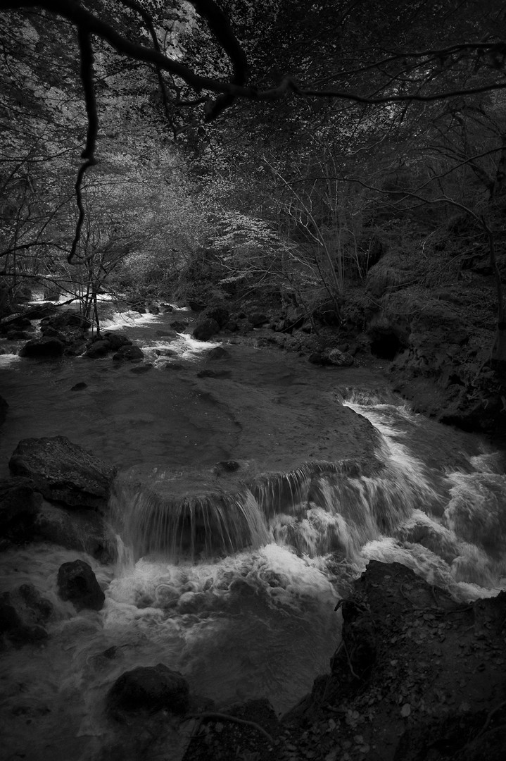 Cauce Imagen & Foto naturaleza, paisajes, bosques Fotos de