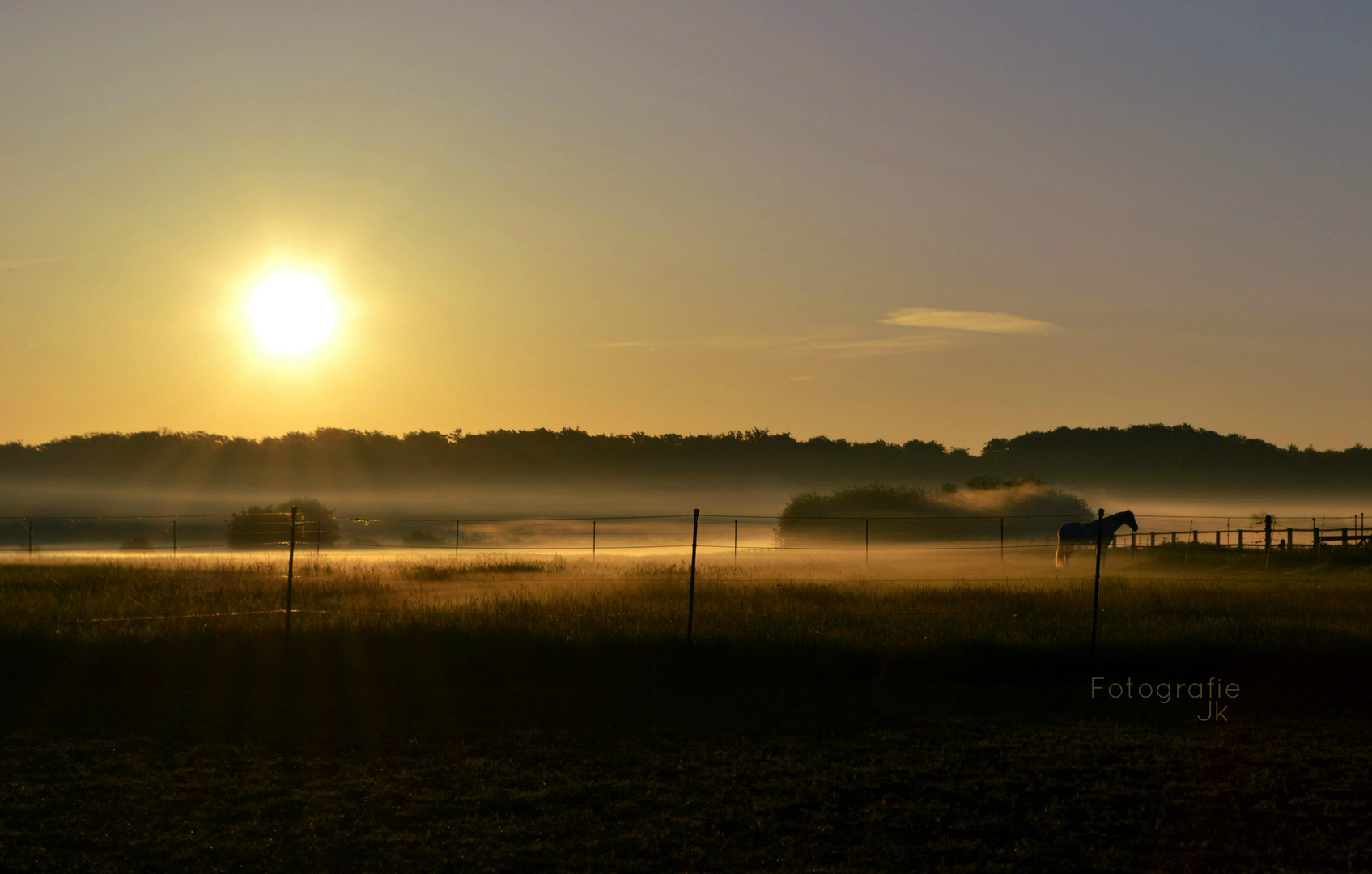 Caught in the fog..