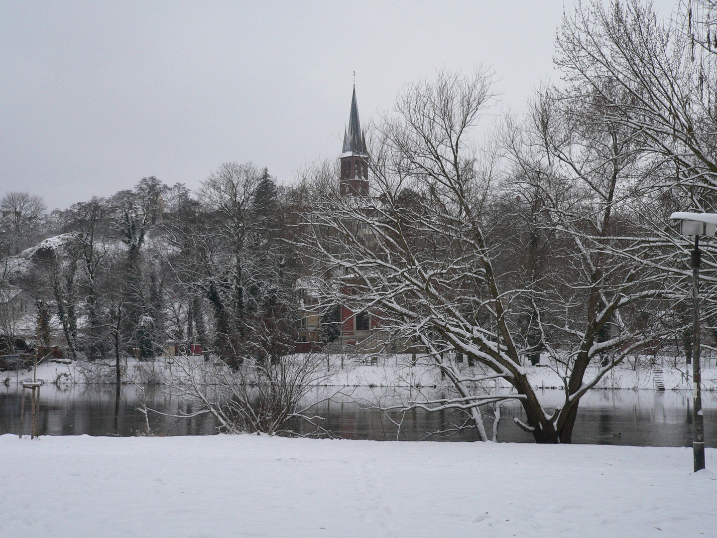 Caught of the snow