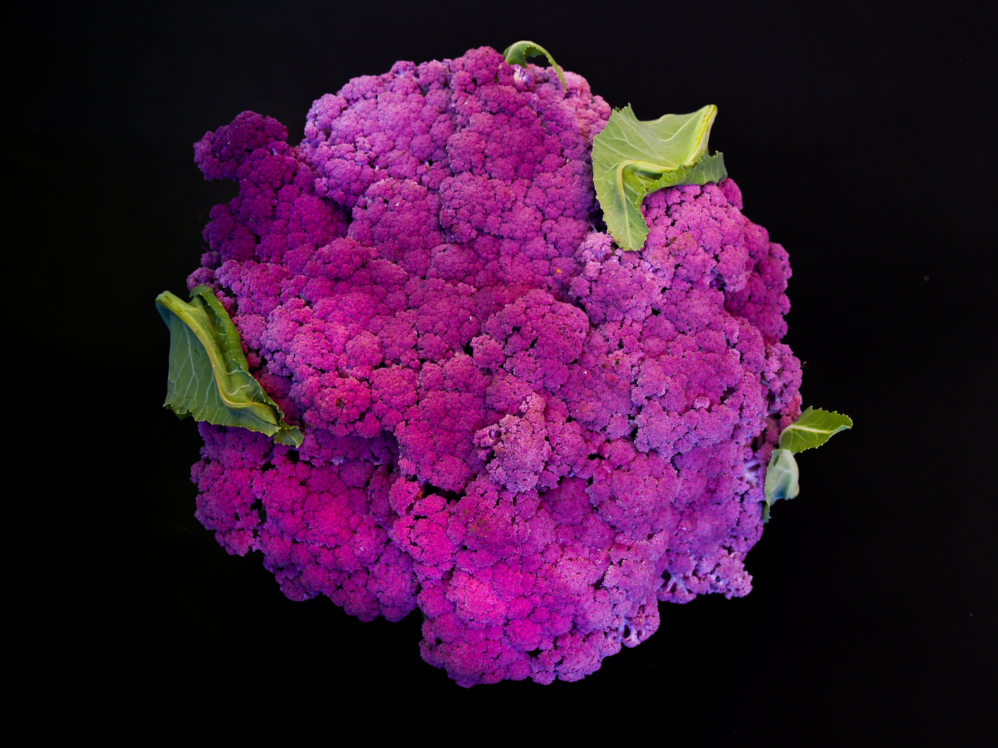 cauliflower