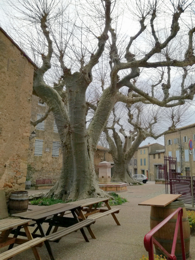 Caunes-Minervois, Aude