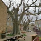 Caunes-Minervois, Aude