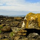 Causeway Irland