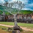 Causeway to Wat Phou