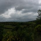 Causse de Larzac ( III.)