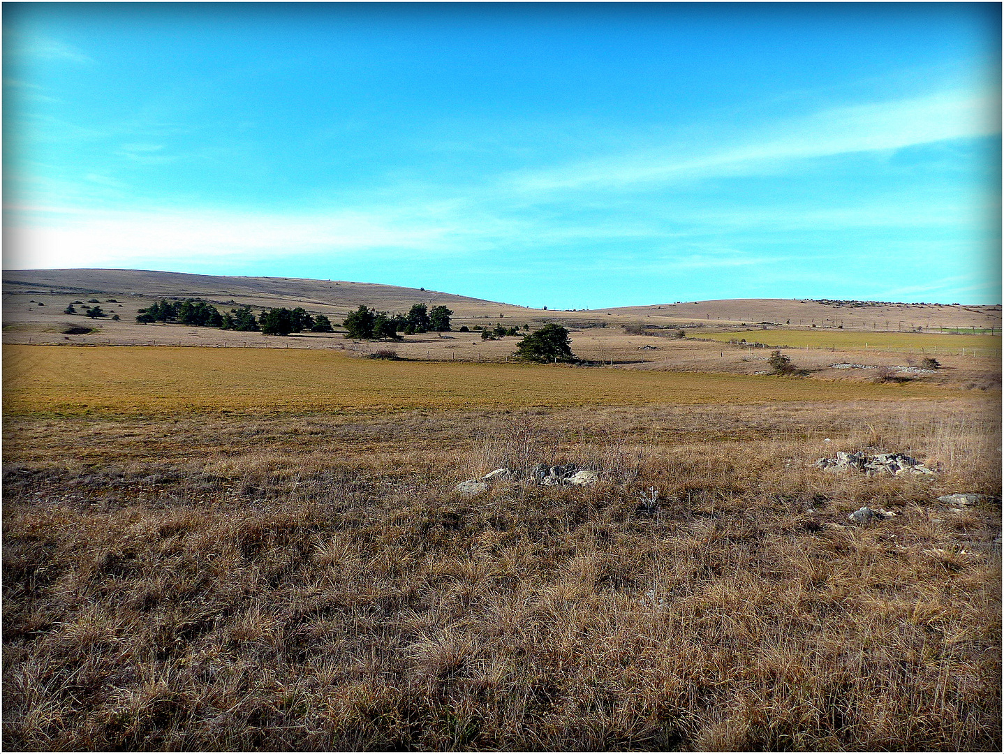 CAUSSE du LARZAC - 2 -