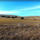 CAUSSE du LARZAC - 2 -