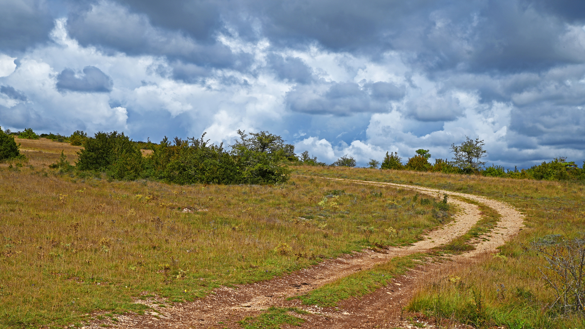 Causse du Larzac