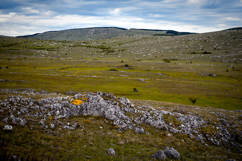 Causse Méjean