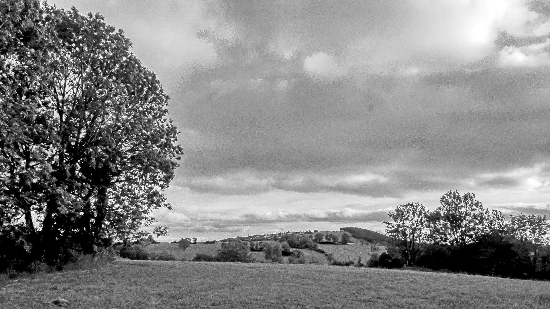 Causse noire bei Lanuéjols (Gard)