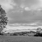 Causse noire bei Lanuéjols (Gard)