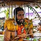 Cavadi Devotee at festival of pain in Ipoh Malaysia