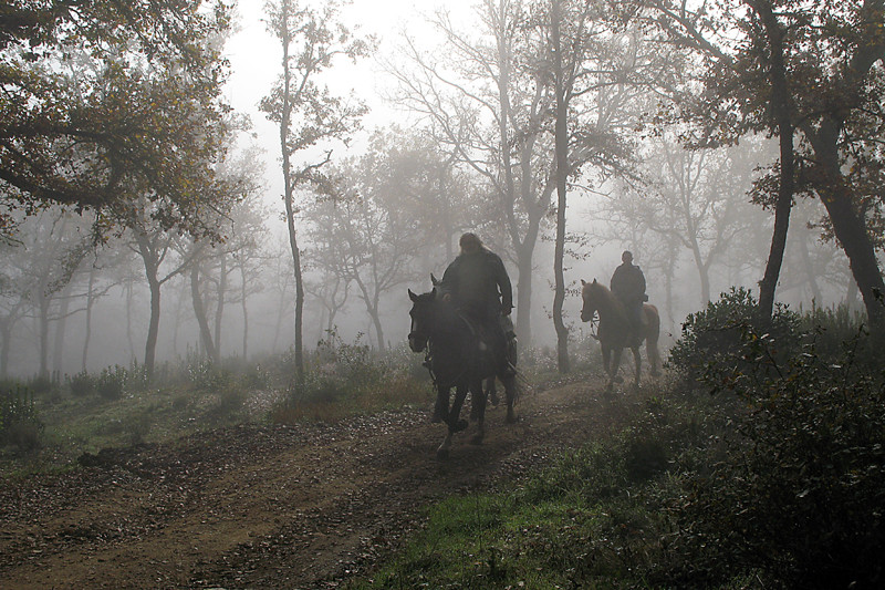 Cavalcando per il bosco