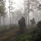 Cavalcando per il bosco