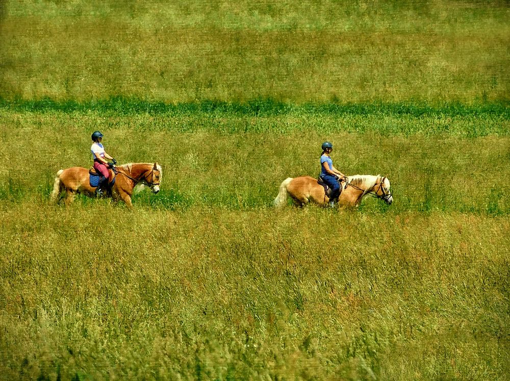 Cavalcata sull'erba