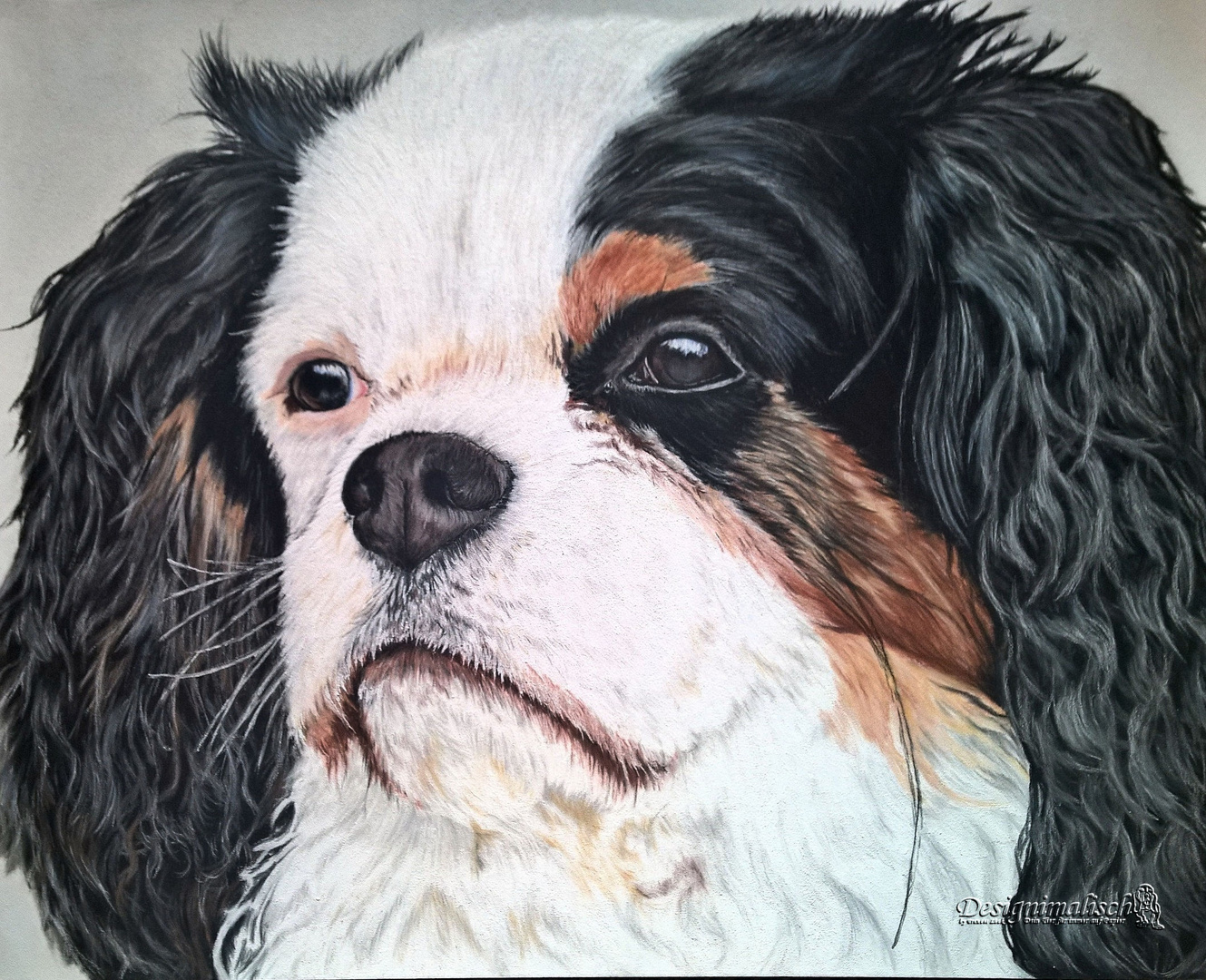 Cavalier-King-Charles-Spaniel