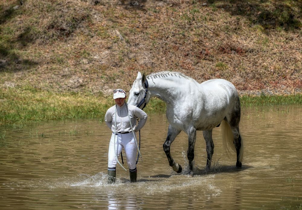 Cavalière - Cheval