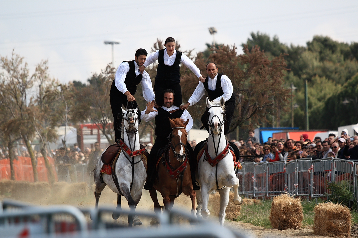 Cavalieri alla sagra di S.Antioco