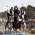 Cavalieri alla sagra di S.Antioco