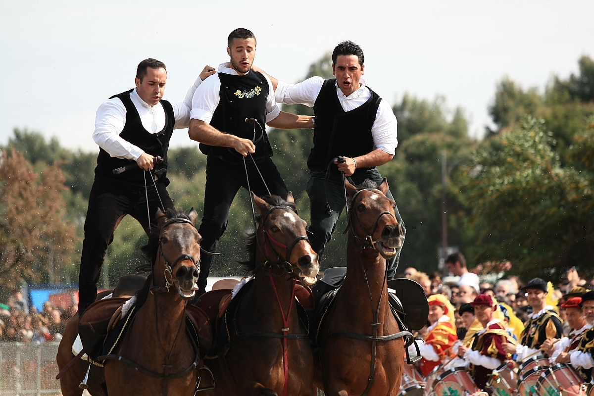 Cavalieri Foto & Bild feste e folclore, soggetti Bilder auf