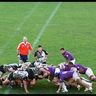 Cavalieri Vs. Harlequins