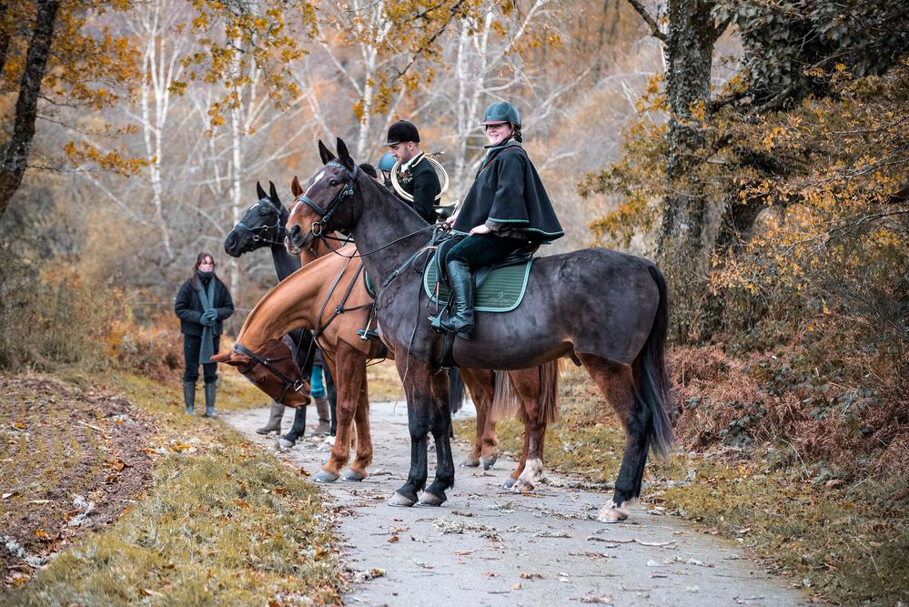 Cavaliers chasse a courre