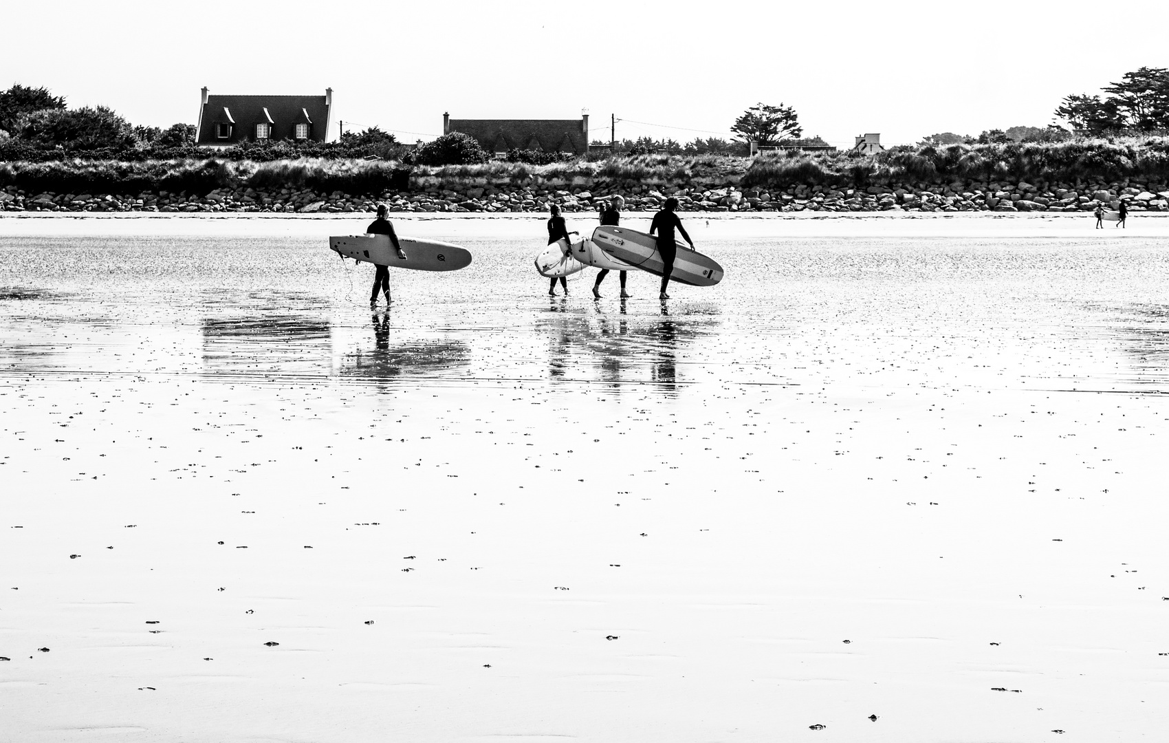 Cavaliers de vagues