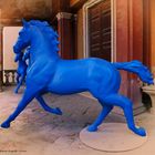 Cavalli blu